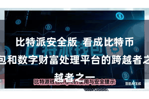 比特派安全版  看成比特币钱包和数字财富处理平台的跨越者之一