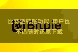 比特派转账功能  用户也不错随时还原下载