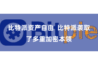 比特派资产自由  比特派袭取了多重加密本领