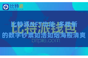 比特派NFT功能  多样新的数字钞票如浩如烟海般清爽