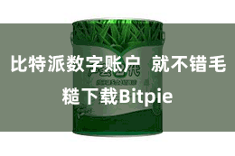 比特派数字账户  就不错毛糙下载Bitpie