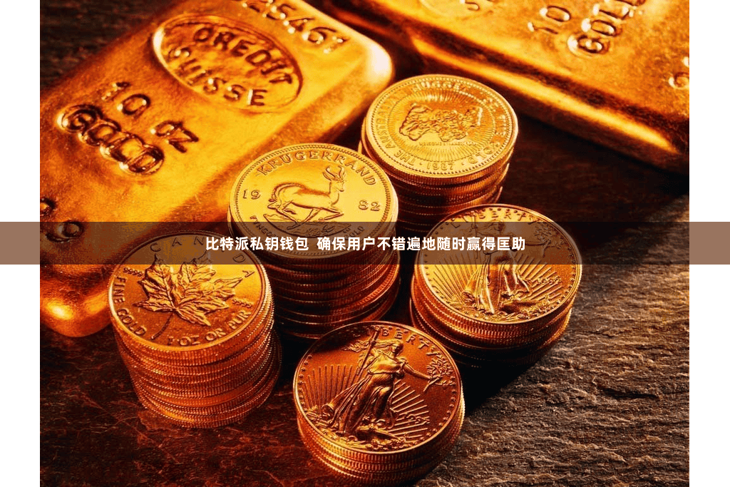 比特派私钥钱包  确保用户不错遍地随时赢得匡助