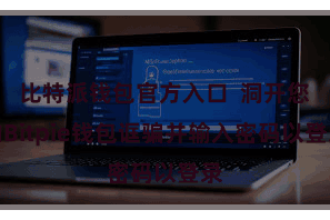 比特派钱包官方入口  洞开您的Bitpie钱包诓骗并输入密码以登录