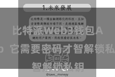 比特派Web3钱包App  它需要密码才智解锁私钥