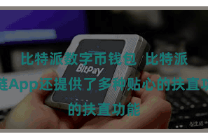 比特派数字币钱包  比特派跨链App还提供了多种贴心的扶直功能